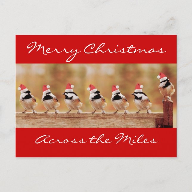 Joyeux Noël Chickadees Carte postale (Devant)
