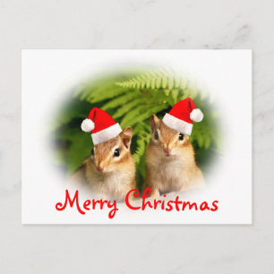 Joyeux Noël Chipmunks Carte postale