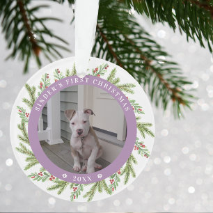 Joyeux Noël de Chien de Compagnie 2 Photos Verdure