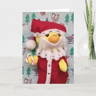 Joyeux Noël de la carte de Noël Danny Duck
