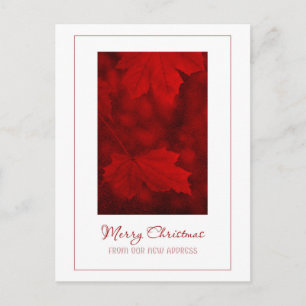 Joyeux Noël de la nouvelle carte postale d'adresse