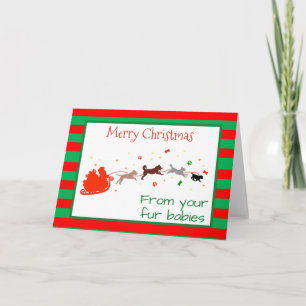 Joyeux Noël de la part des chiens Carte pour plusi