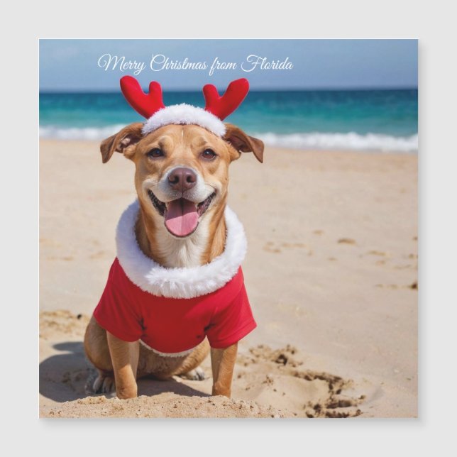 Joyeux Noël de la plage de Floride (Devant)