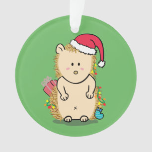 Joyeux Noël désordonné Hérisson Chambre Enfants Dr
