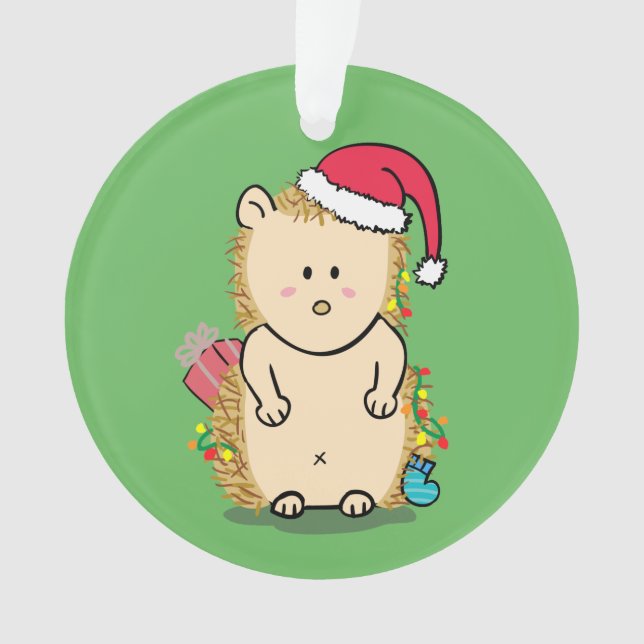 Joyeux Noël désordonné Hérisson Chambre Enfants Dr (devant)
