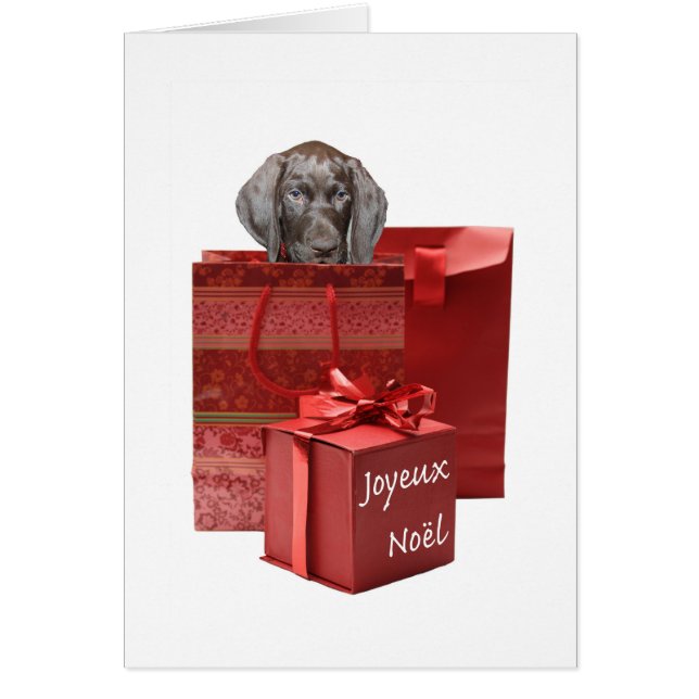 Joyeux Noël german short pointeur chiot (Devant)