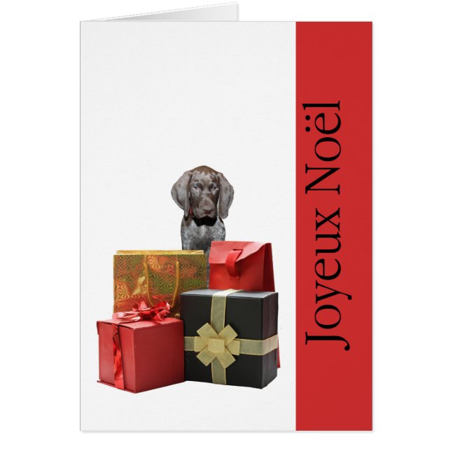Joyeux Noël german short pointeur chiot (Devant)