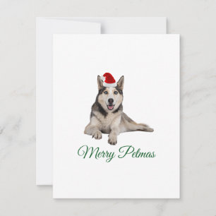 Joyeux Noël husky carte de Noël