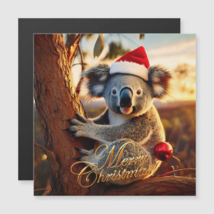 Joyeux Noël Koala assis dans un Eucalyptus