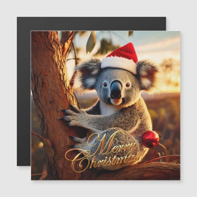 Joyeux Noël Koala assis dans un Eucalyptus (Devant / Derrière)