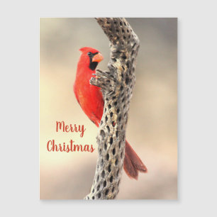 Joyeux Noël Magnet Cardinal du Nord
