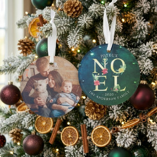 Joyeux Noel Merry Christmas Poinsettia Photo Décor
