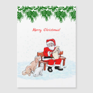 Joyeux Noël - Père Noël avec chat et chien