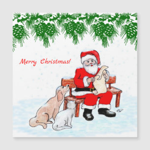 Joyeux Noël - Père Noël avec chat et chien