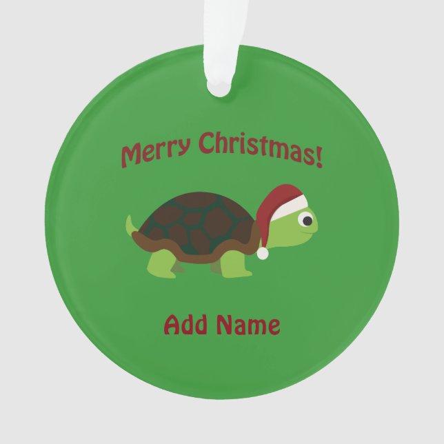 Joyeux Noël ! Père Noël Turtle (devant)