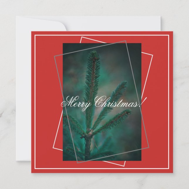 Joyeux Noël Pine verte Fir Tree Carte de voeux (Devant)