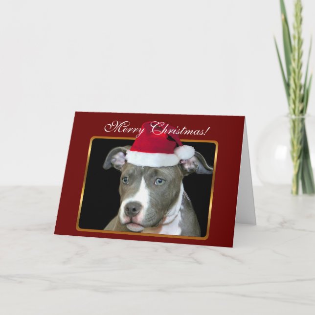 Joyeux Noël pitbull chiot carte de voeux (Devant)