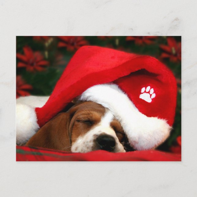 Joyeux Noël Puppy carte postale (Devant)
