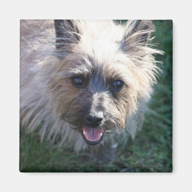 Joyeux petit aimant (Devant)