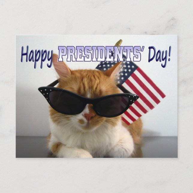 Joyeux Presidents' Day Cool Cat avec carte postale (Devant)