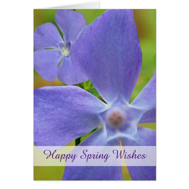 Joyeux Printemps Flower Vinca Purple Blooms (Devant)