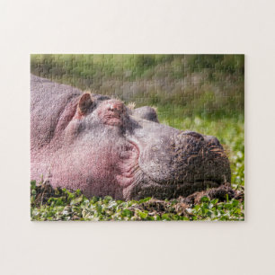 Joyeux puzzle hippo