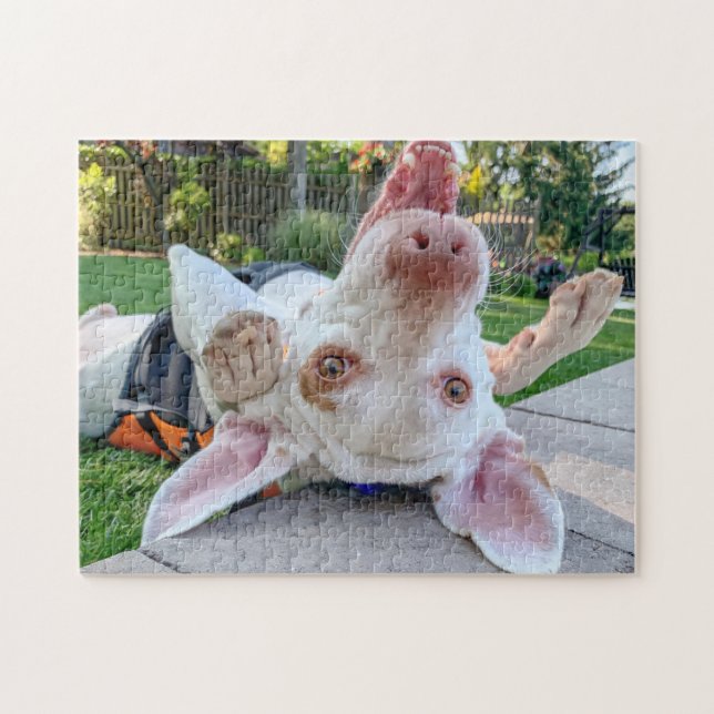 Joyeux Puzzle Pointeur (Horizontal)