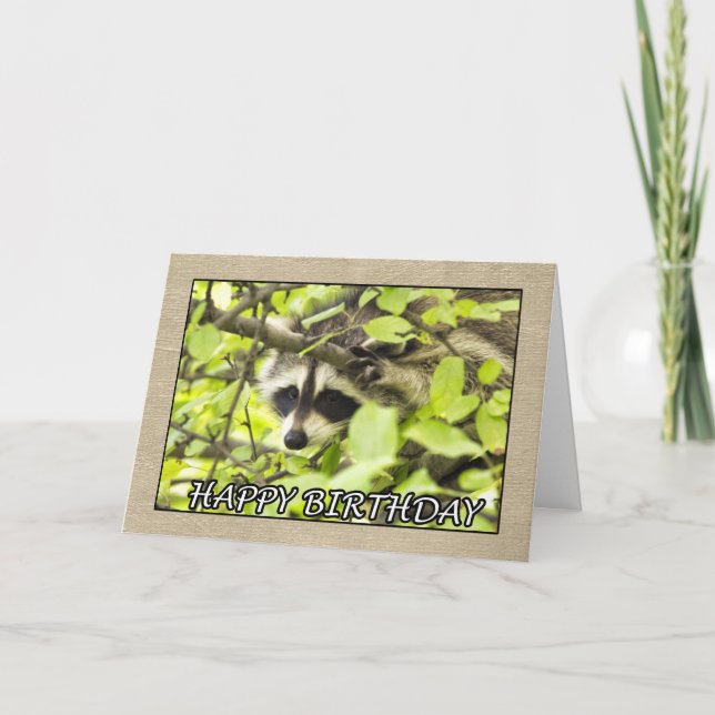 Joyeux Raccoon Anniversaire Dans Carte Arbre (Devant)