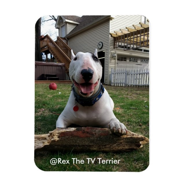 Joyeux Rex Magnet (Vertical)