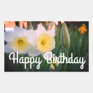Joyeux Stickers Daffodil D'Anniversaire