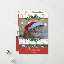 Joyeux Sucre de canne de Noël Vaches Photo Carte d