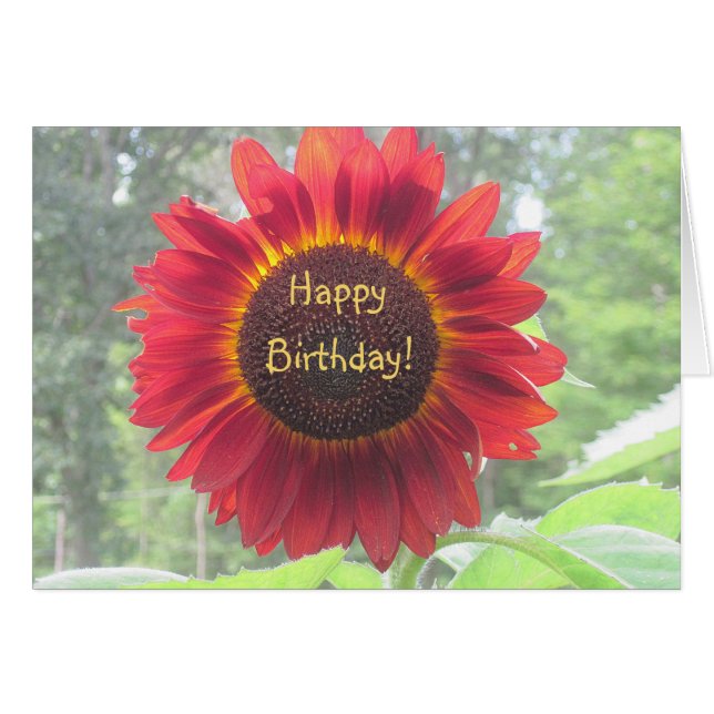 Joyeux tournesol d'anniversaire (Devant horizontal)