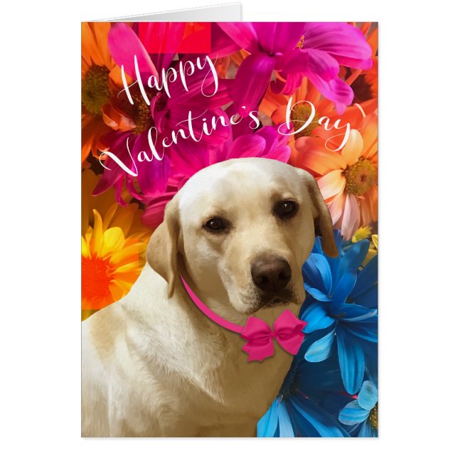Joyeux Valentine Animaux, Chien, Fleurs du Labrado (Devant)