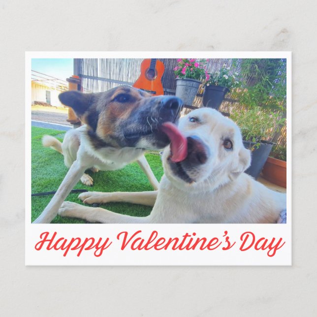Joyeux Valentines Jour mignon chiens photo carte d (Devant)