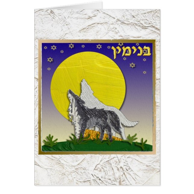 Judaïca 12 Tribus Israël Benjamin (Devant)
