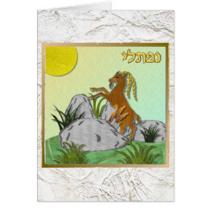 Judaïque 12 tribus Israël Naphtali