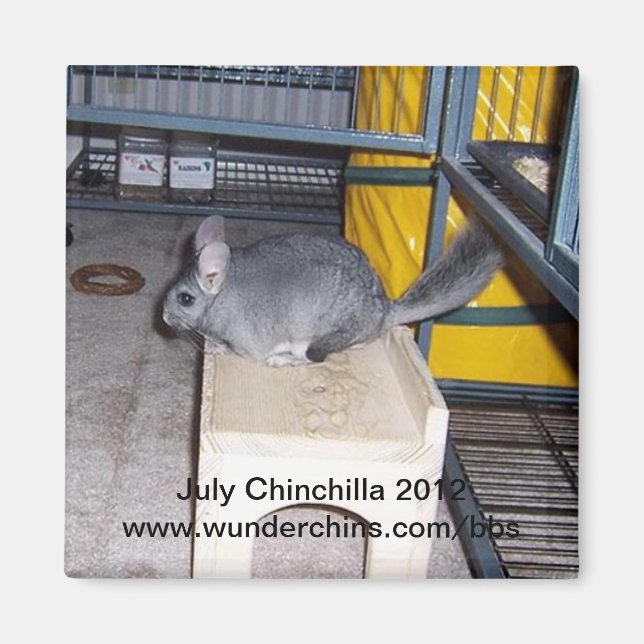 juillet chinchilla 2012 aimant (Devant)