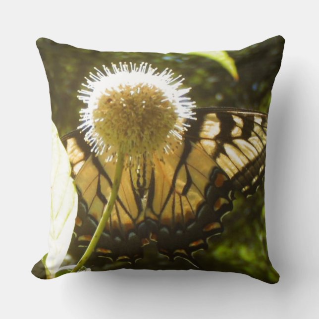 Juin Coussin de fleurs Monarch (Recto)