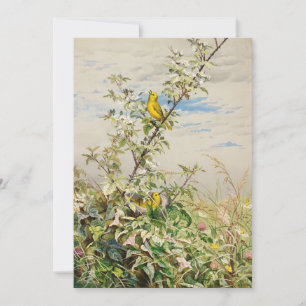 Juin   Ponts Fidelia