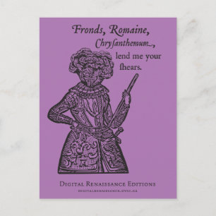 (Julius) Carte postale Salade César