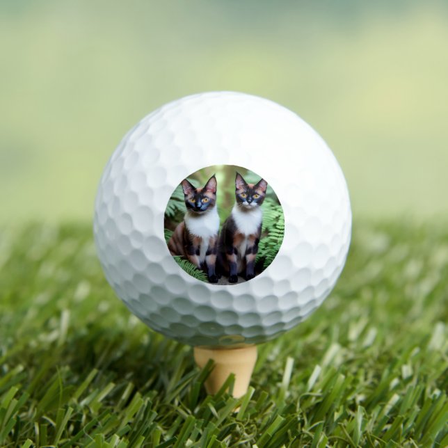 Jumeaux de Chat Siamois, Balle De Golf (T-shirt Insitu)