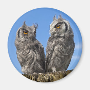 Jumeaux Magnet