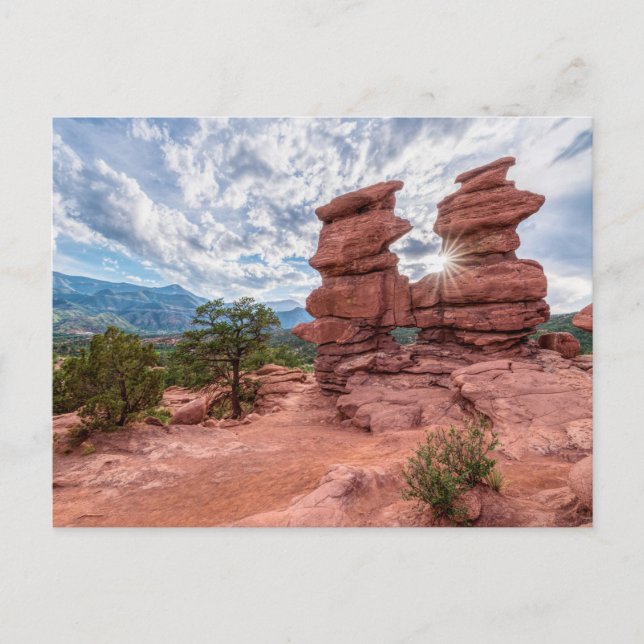 Jumeaux siamois Colorado Sunburst Carte postale (Devant)