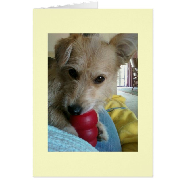 Jumelez le chien émerveillé (Devant)