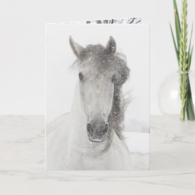 Jument enneigée - Carte de vœux pour cheval (Devant)