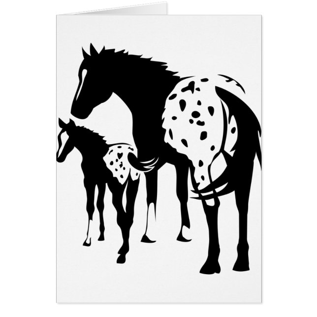 Jument et poulain d'Appaloosa (Devant)