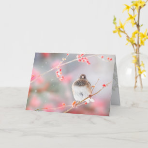 "Junco à bec noir d'hiver", Carte de vœux pliée 5"