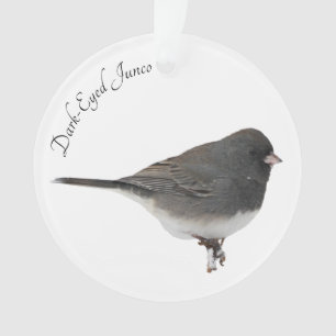 Junco de Dark-Eyed