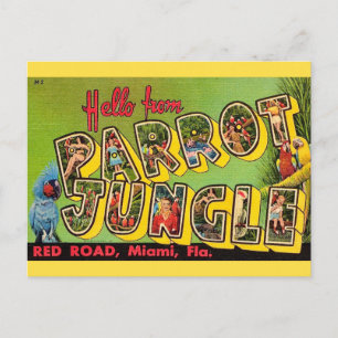 Jungle aux perroquets Miami Carte postale ancienne