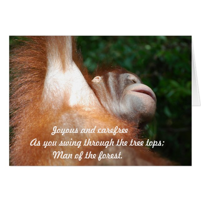 Jungle Joy - Orangutan Hommage Faune Haiku (Devant horizontal)